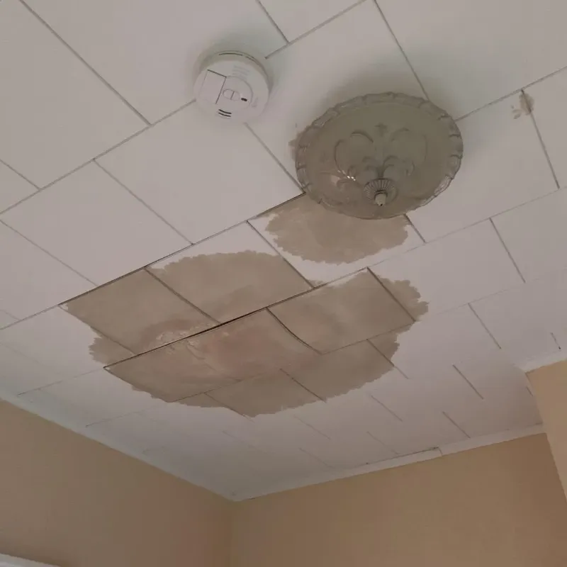 Ceiling Water Damage Repair in Davidsville, PA