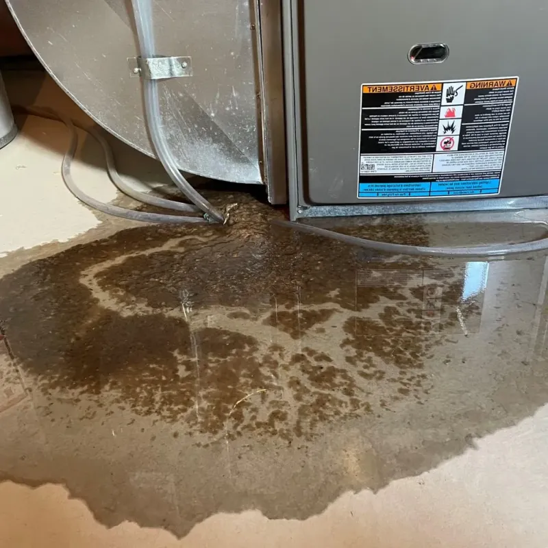 Pipe Burst and Leak Restoration in Davidsville, PA