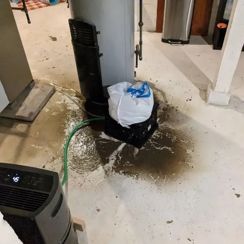 Sewage Backup Cleanup Service in Davidsville, PA